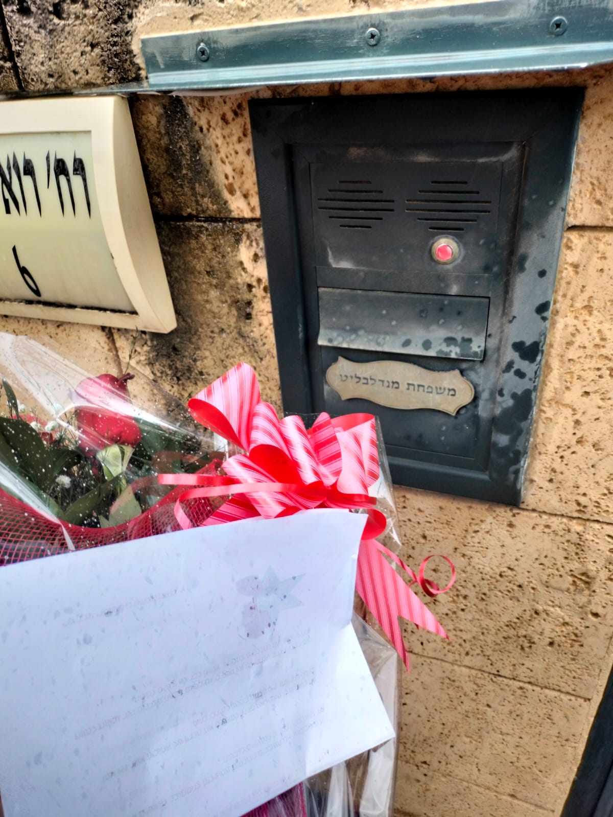 סערת סנדק: זר נשלח למנדלבליט