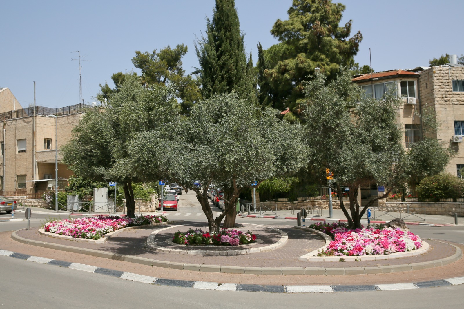 רואים ירוק – רואים רחוק