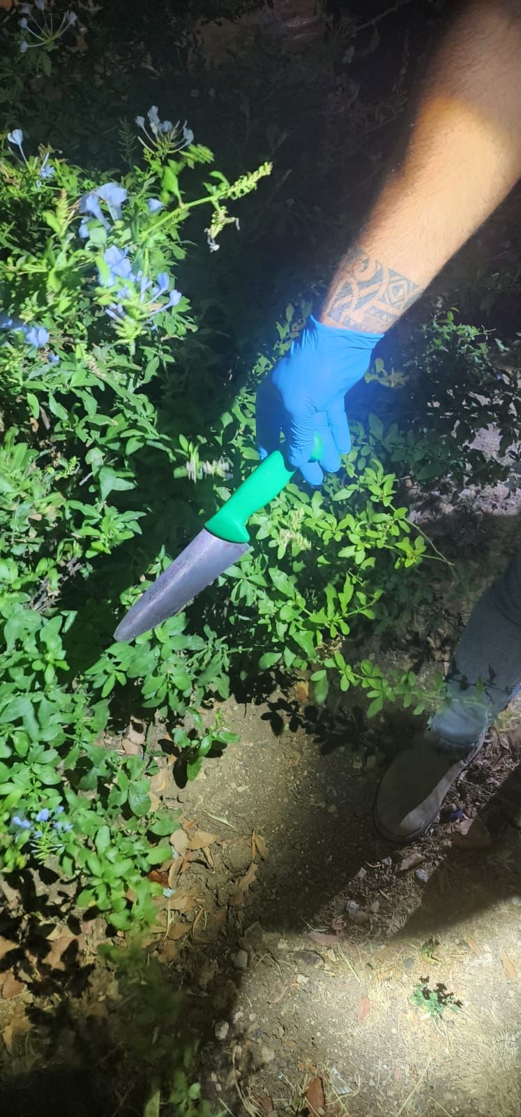 ניסיון פיגוע בהר הבית