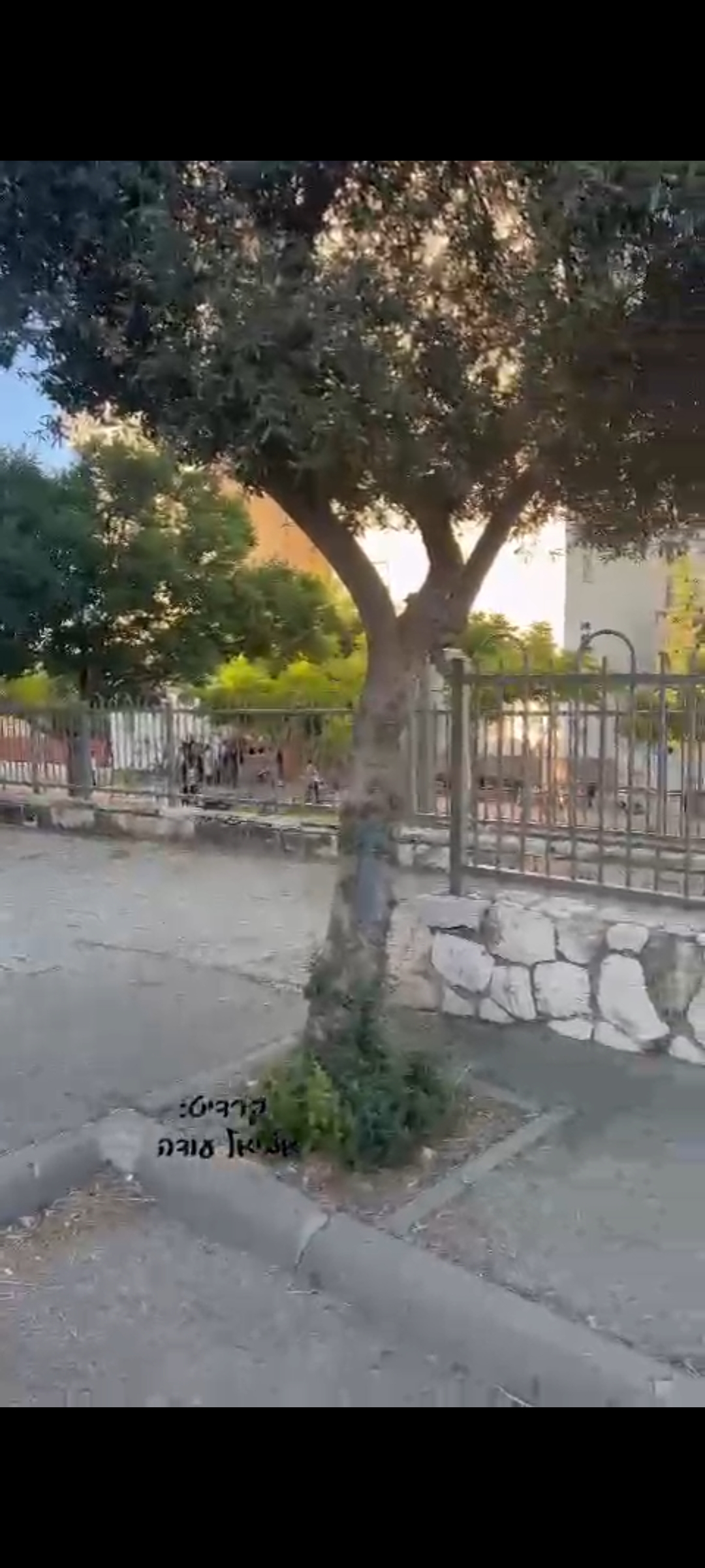 תקלה בצופרים