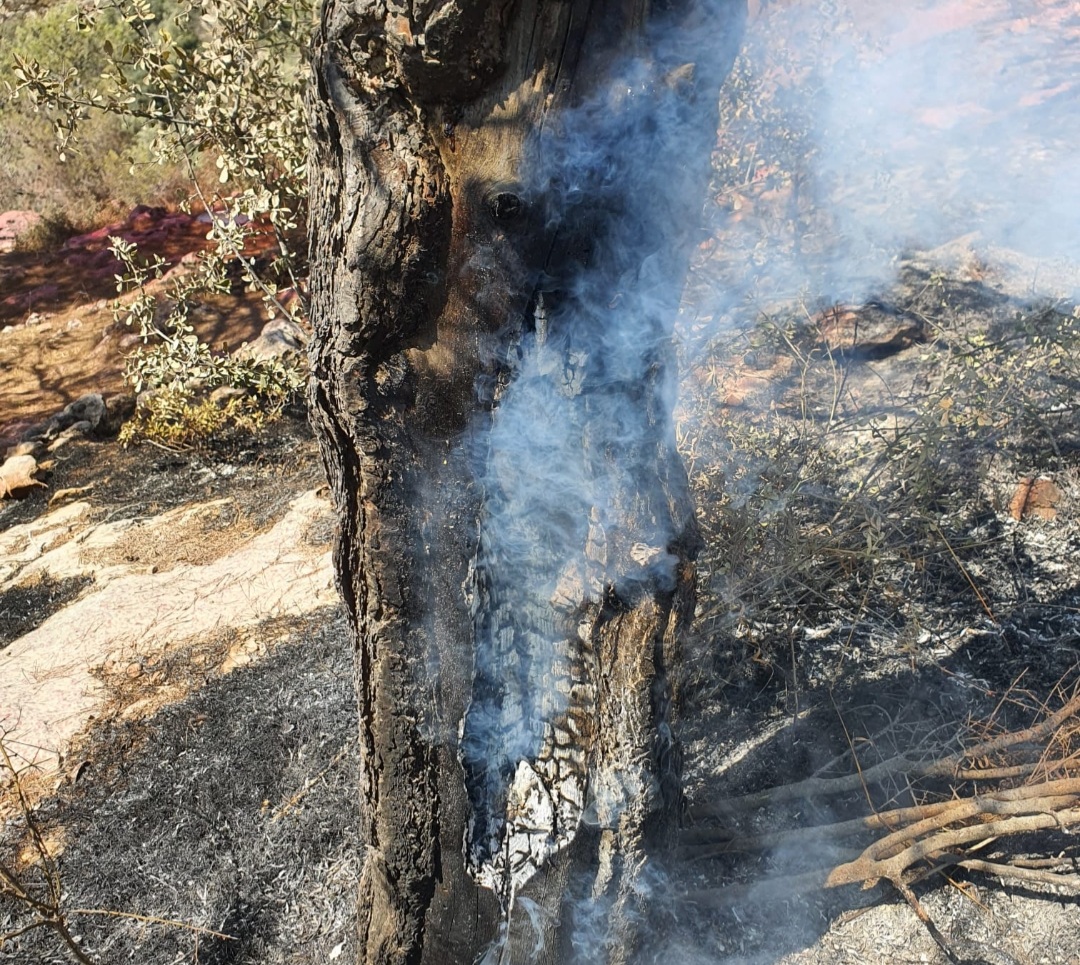 עיריית ירושלים נערכת לסוף שבוע חם במיוחד
