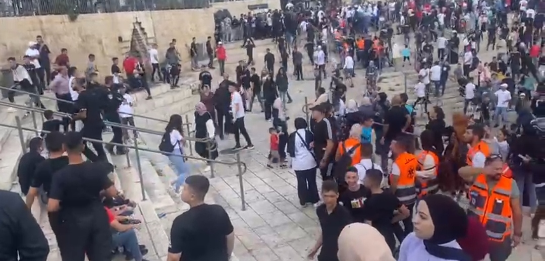 טרוריסטים ברחובות העיר