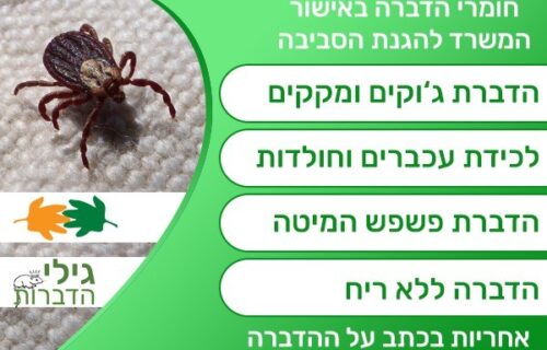 מזיקים בעיר ללא הפסקה: למה דווקא בתל אביב הם חוזרים שוב ושוב?