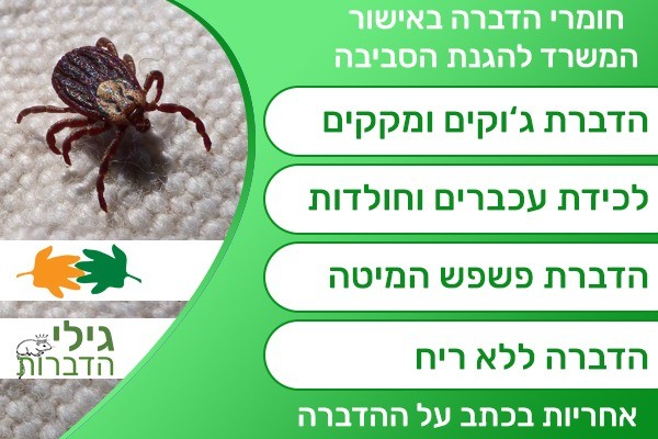 מזיקים בעיר ללא הפסקה: למה דווקא בתל אביב הם חוזרים שוב ושוב?
