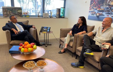 המענק של תמנע לוי